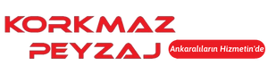 MSYONUMUZ